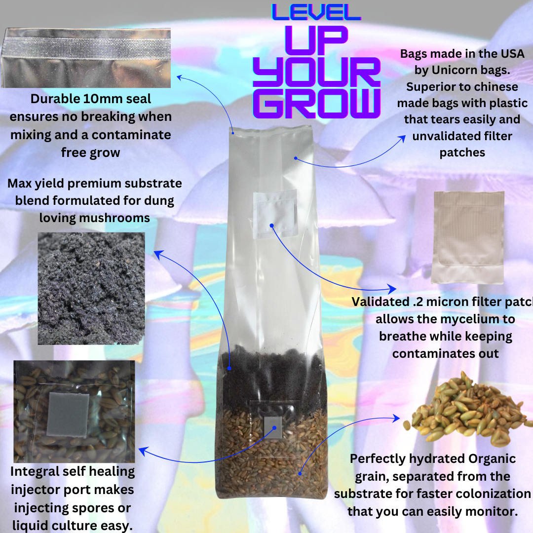 Mushroom Grow Kit - 4 Pack - All In One Mushroom Grow Bags