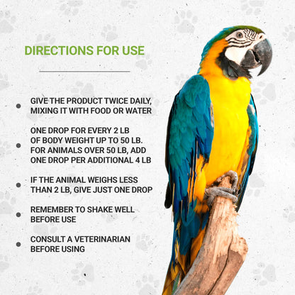 Bird's Anxiety - Healthy Emotional Balance Support in Birds