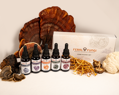 Core Blend Set