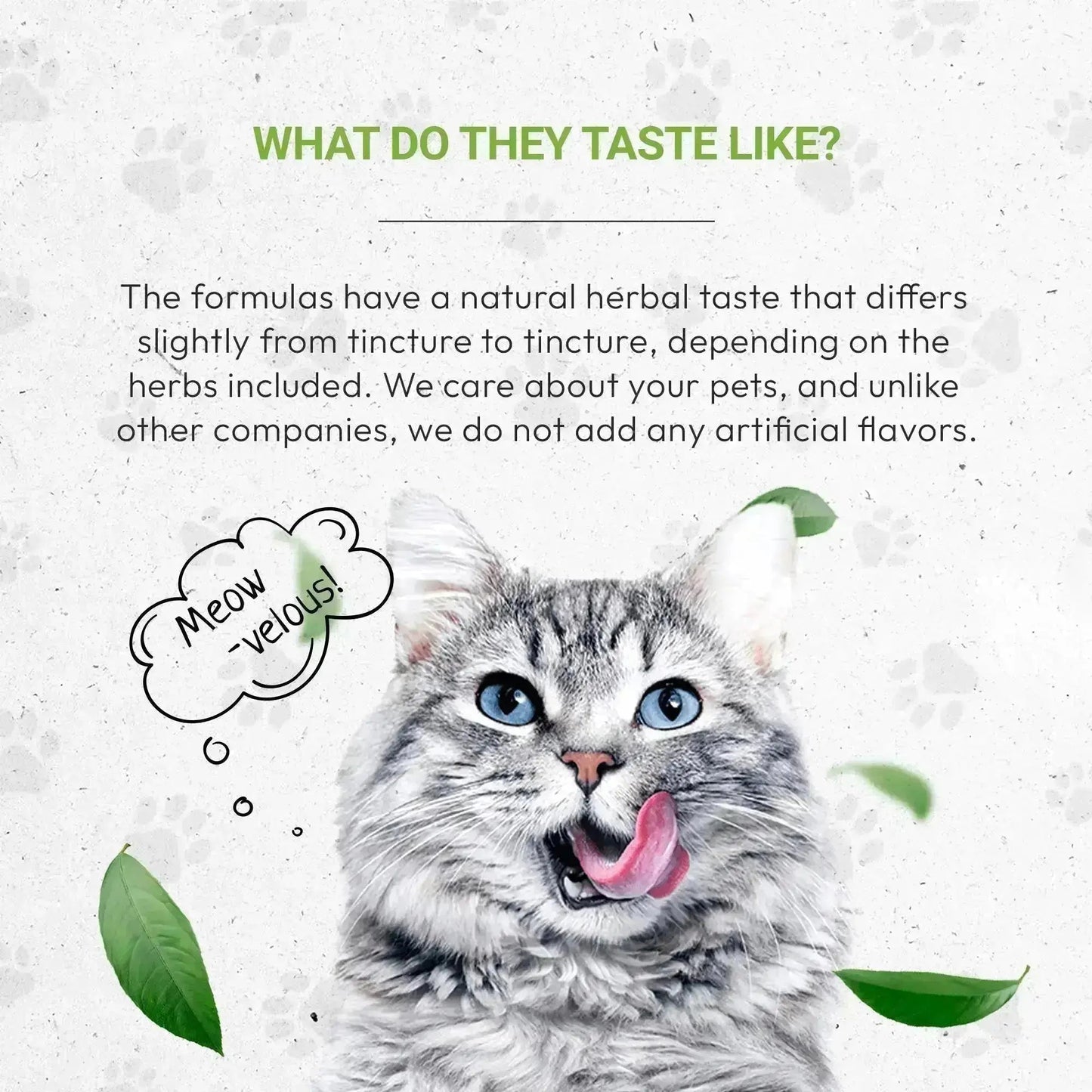 Lion's Blood Pressure - Healthy Blood Pressure Support in Cats
