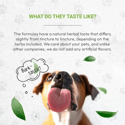 Wolf's Respiratory - Healthy Respiratory System Support in Dogs