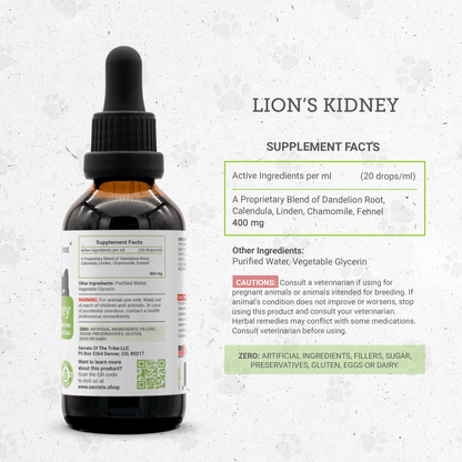 Lion's Kidney - Healthy Kidney Function Support in Cats