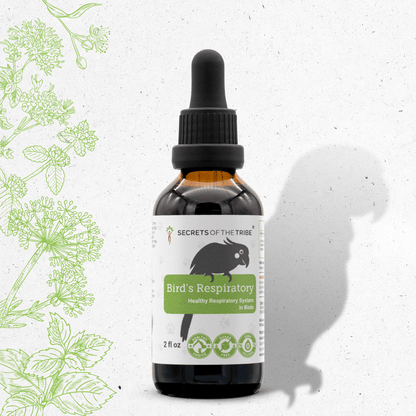 Bird's Respiratory - Healthy Respiratory System Support in Birds